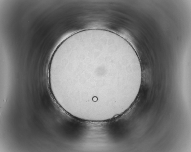 X0000086731150200704271625