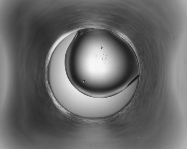 X0000086731152200704271625