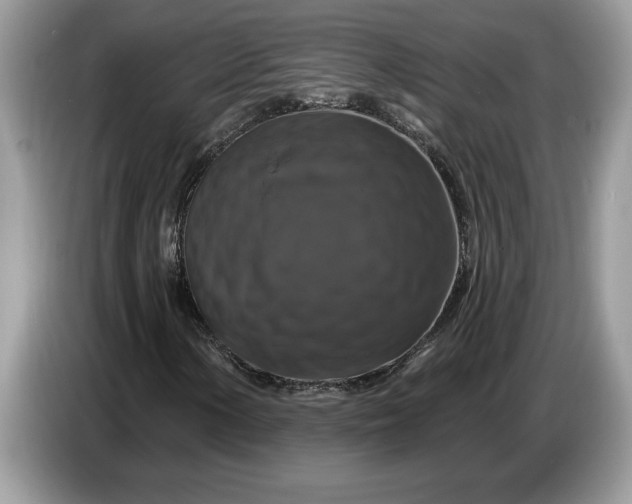 X0000086731154200704271625