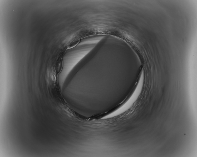 X0000086731155200704271625