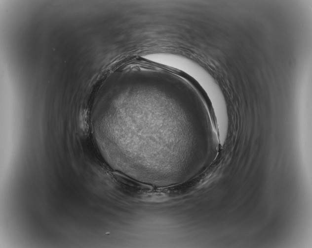 X0000086731156200704271625