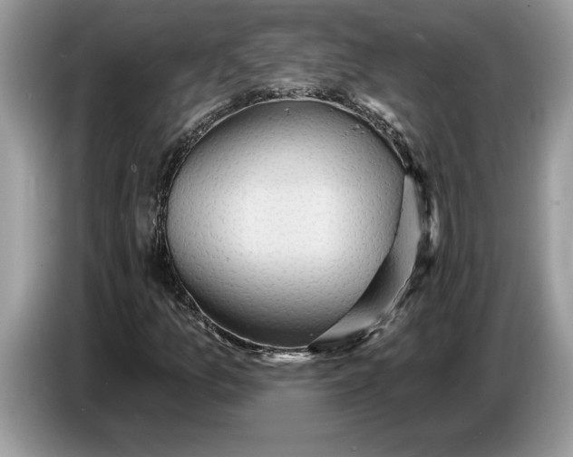 X0000086731157200704271625