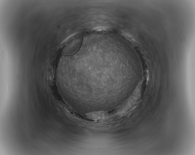 X0000086731158200704271625