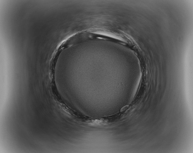 X0000086731160200704271625