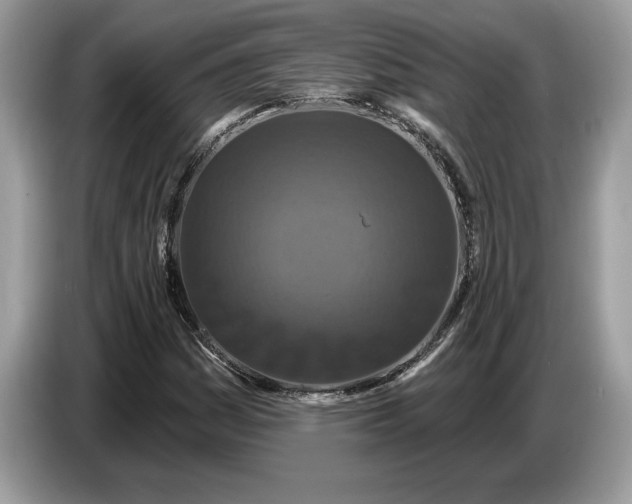 X0000086731161200704271625