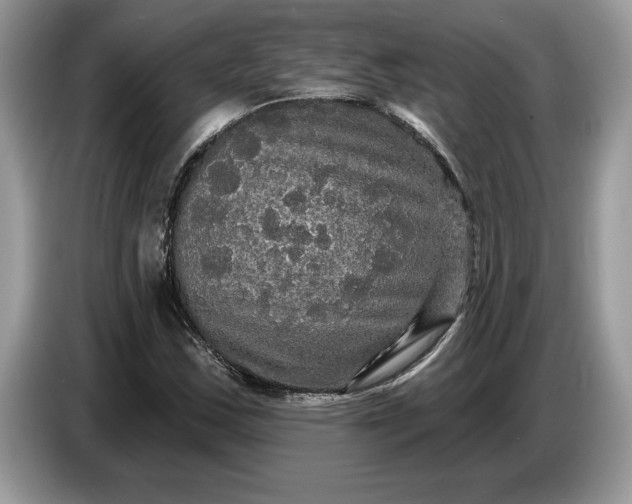 X0000086731163200704271625