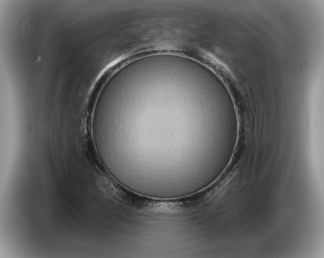 X0000086731166200704271625