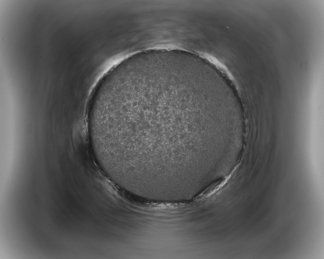 X0000086731167200704271625