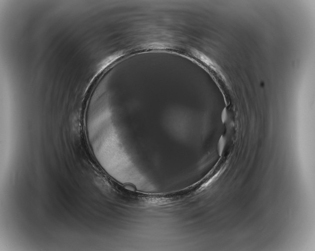 X0000086731170200704271624