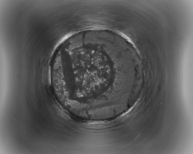 X0000086731171200704271624