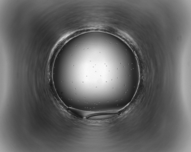 X0000086731172200704271624