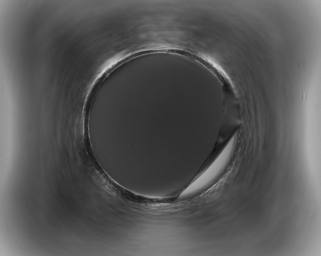 X0000086731173200704271624