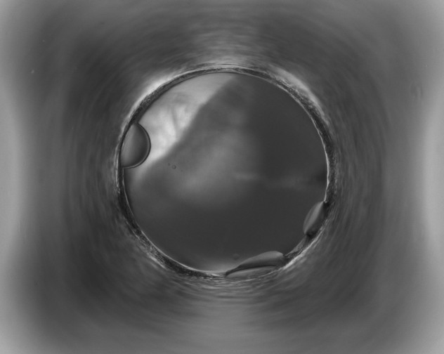 X0000086731174200704271624