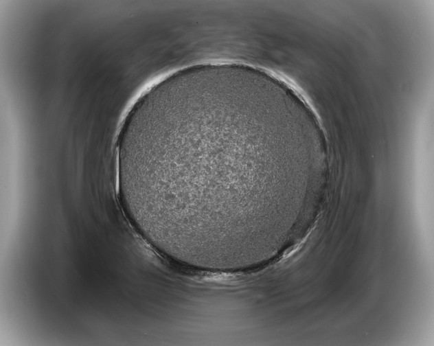 X0000086731175200704271624