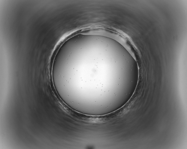 X0000086731176200704271624