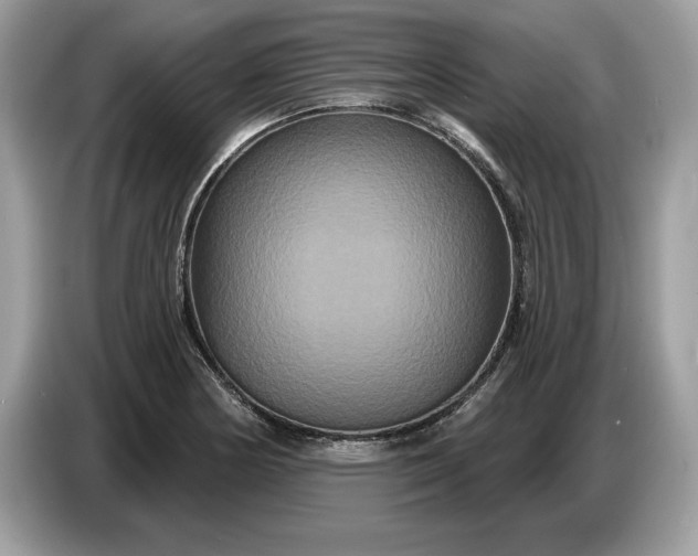 X0000086731178200704271624