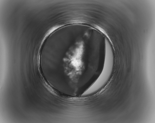 X0000086731179200704271624