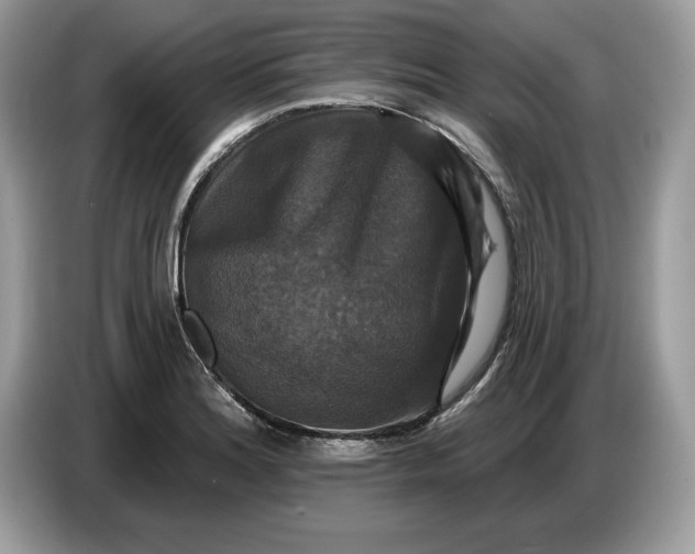 X0000086731180200704271624