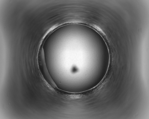 X0000086731181200704271624