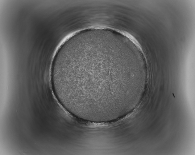 X0000086731183200704271624