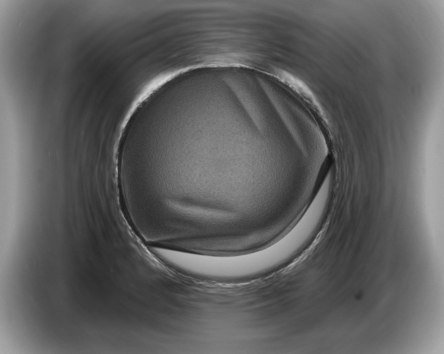 X0000086731184200704271624