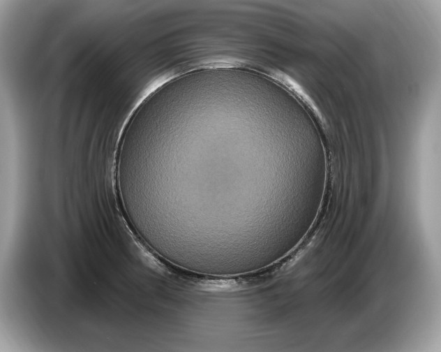 X0000086731186200704271624