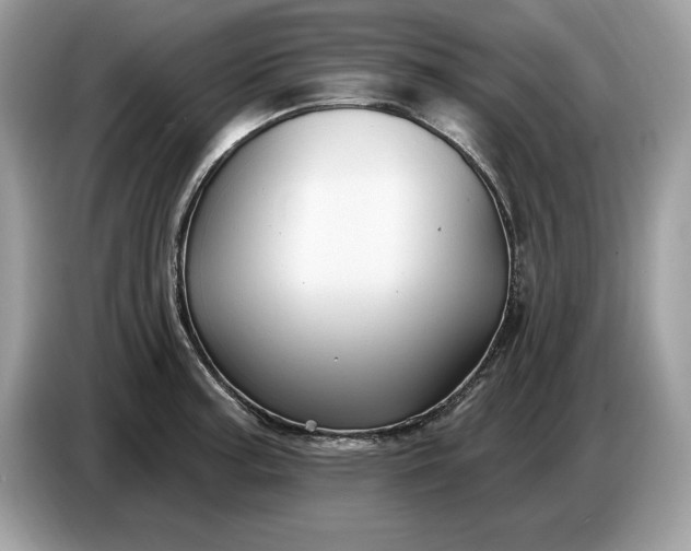 X0000086731187200704271624