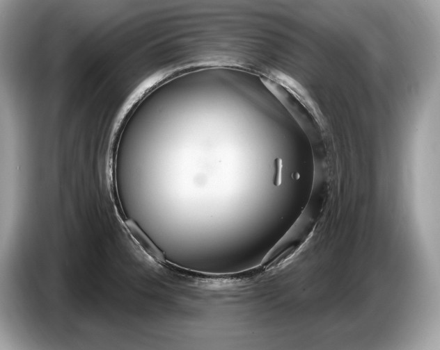 X0000086731188200704271624