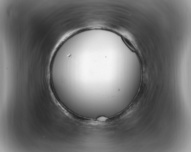 X0000086731191200704271624