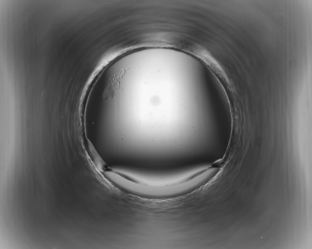 X0000086731192200704271624