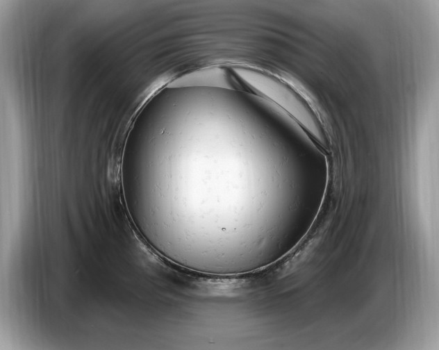 X0000086731193200704271624