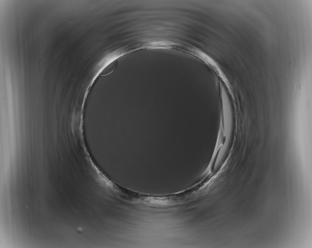 X0000086731194200704271624