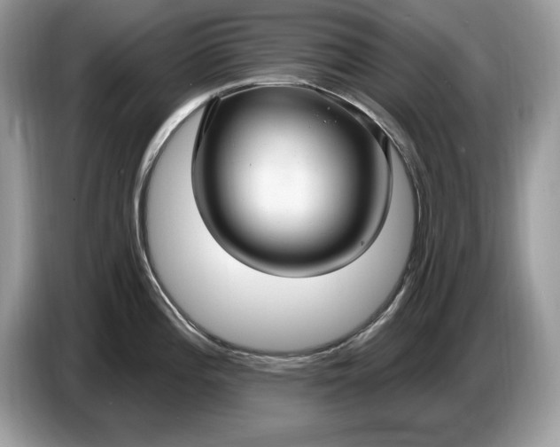 X0000086731196200704271624