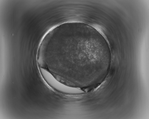 X0000086731197200704271624