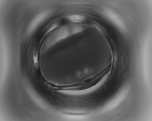 X0000086731198200704271624