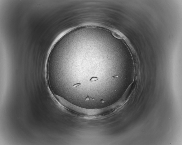 X0000086731199200704271624