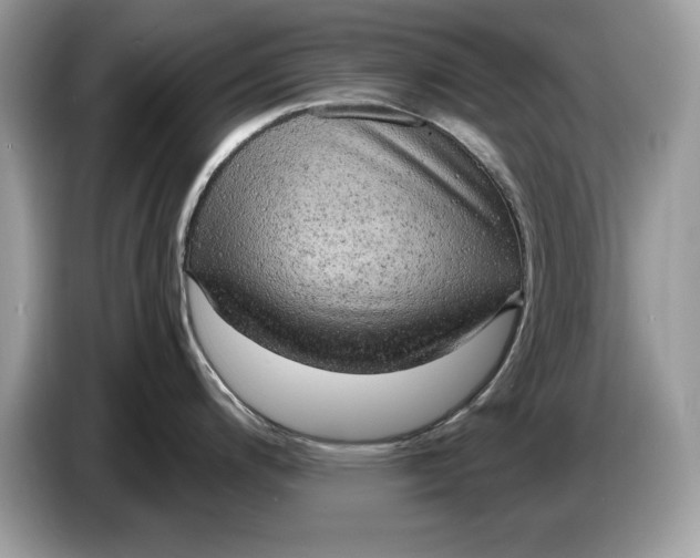 X0000086731200200704271624