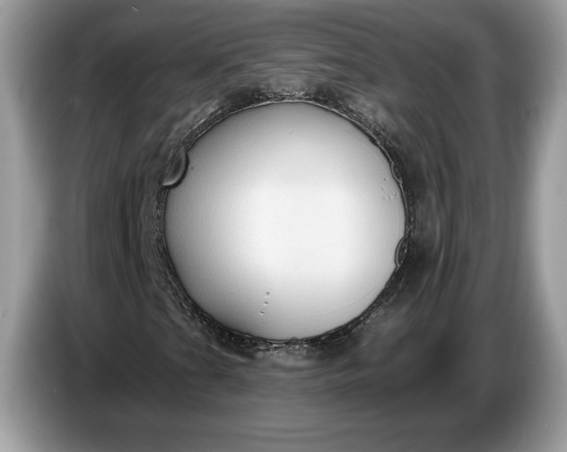 X0000086731201200704271623