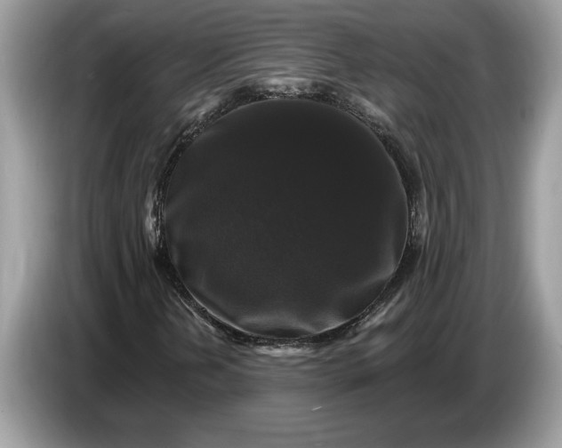 X0000086731202200704271624