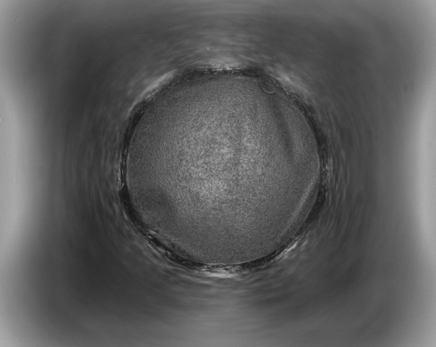 X0000086731205200704271624