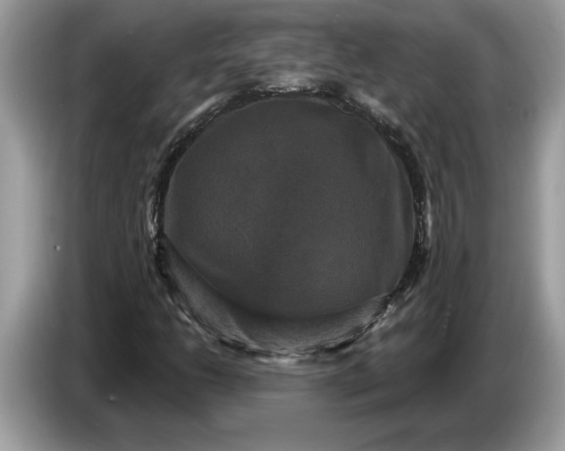 X0000086731206200704271624