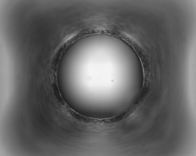 X0000086731207200704271624