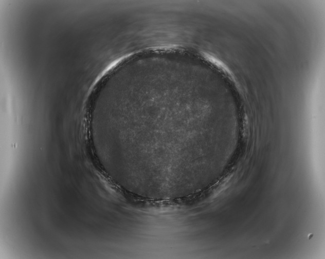 X0000086731208200704271624