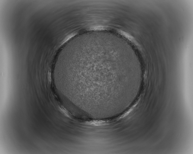 X0000086731209200704271624