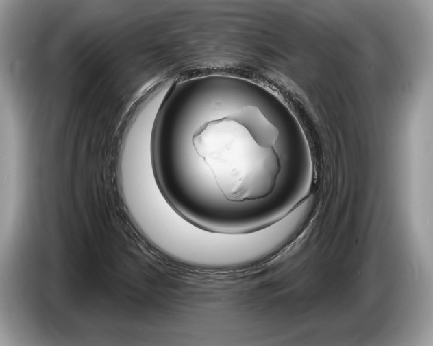 X0000086731210200704271624