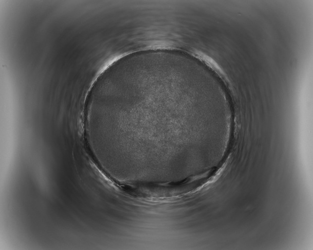 X0000086731212200704271624