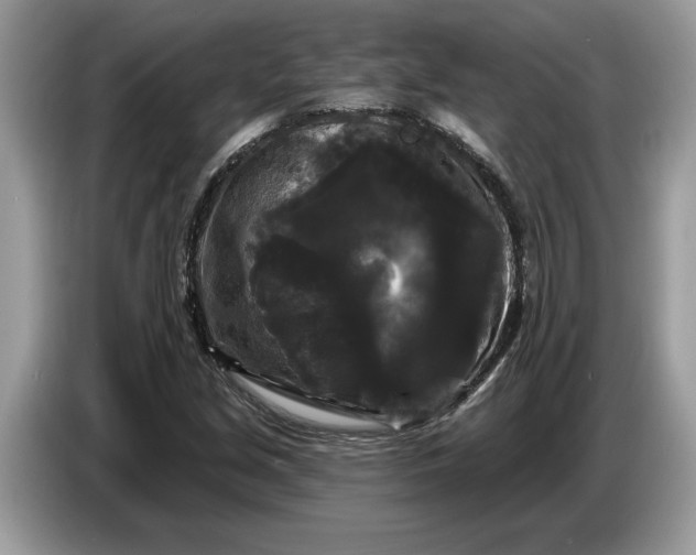 X0000086731213200704271624