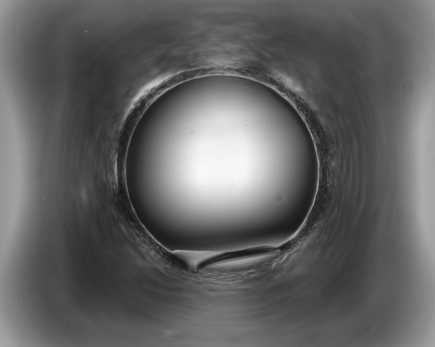 X0000086731214200704271624