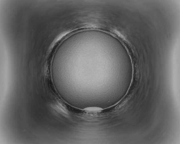 X0000086731215200704271624