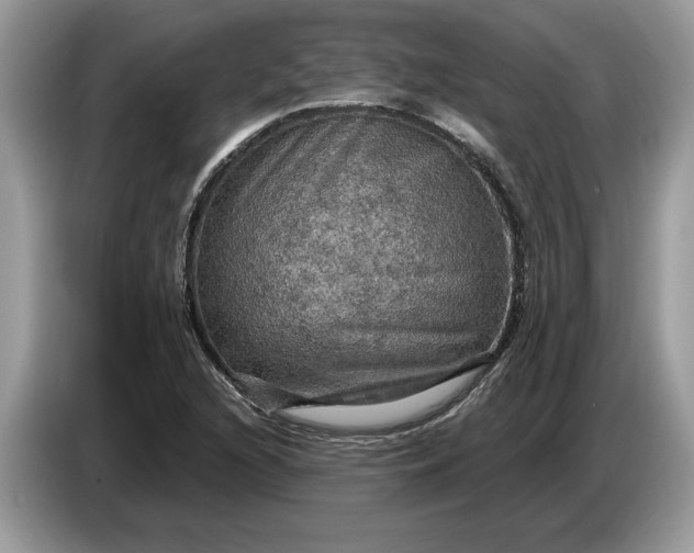 X0000086731216200704271624